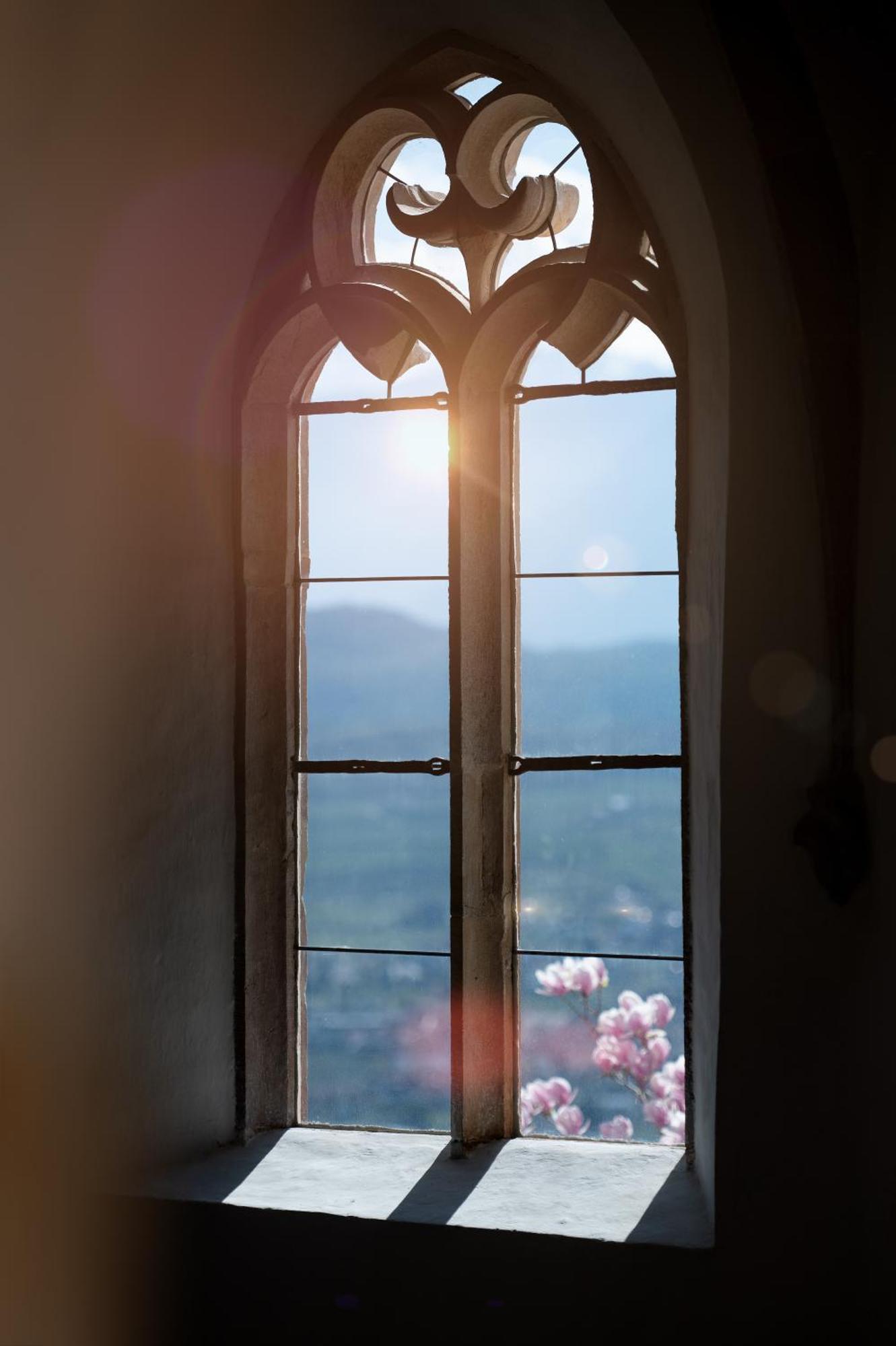 Schloss Freudenstein Appiano Sulla Strada Del Vino Exterior foto
